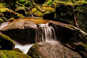 yakushima-06